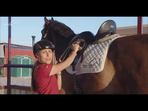 El arte de la equitación: ¿Cómo se llama montar a caballo?