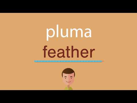 ¿Cómo se dice 'plumas' en inglés? Guía completa de vocabulario