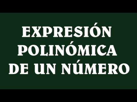 La expresión polinómica de un número en 6º de primaria: todo lo que necesitas saber