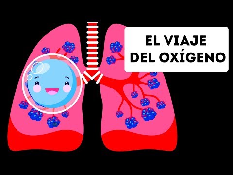 El proceso de exhalación y el aire que se expulsa al respirar