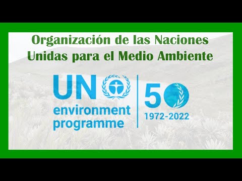 El Programa de las Naciones Unidas para el Medio Ambiente: Un enfoque global hacia la sostenibilidad