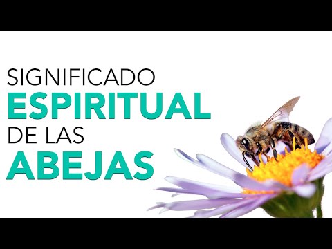 El simbolismo espiritual de la abeja: un mensaje divino en la naturaleza