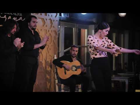 Reseñas del tablao flamenco Jardines de Zoraya: una experiencia inolvidable de música y baile