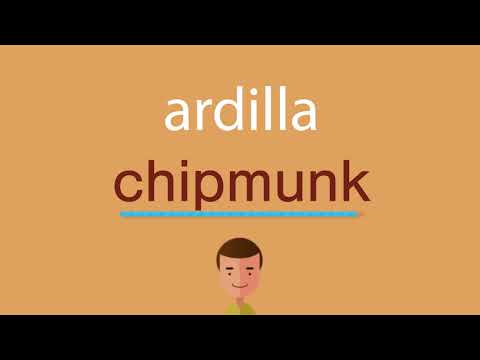 Aprende a escribir ‘ardilla’ en inglés de forma sencilla