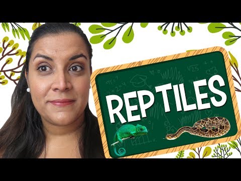 Aprende cómo se dice reptiles en inglés en el blog de IESRibera