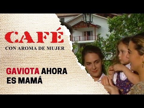 Disfruta de la serie original 'Café con aroma de mujer' de 1994: ¿Dónde verla?
