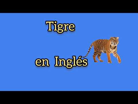 El nombre en inglés para tigre: Todo lo que necesitas saber