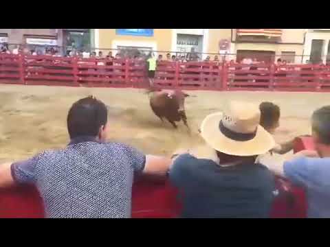 Qué sucede cuando un torero no mata al toro