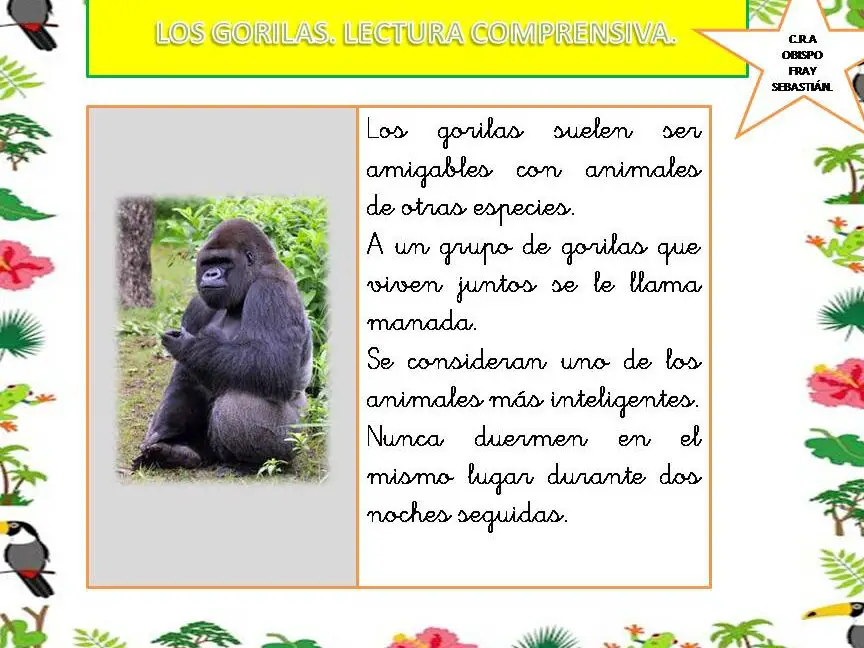 ¿Cómo se llama a un grupo de gorilas?