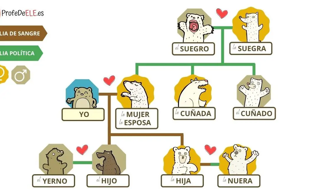 ¿Cuántos hermanos tienes? - Información sobre la familia en español.