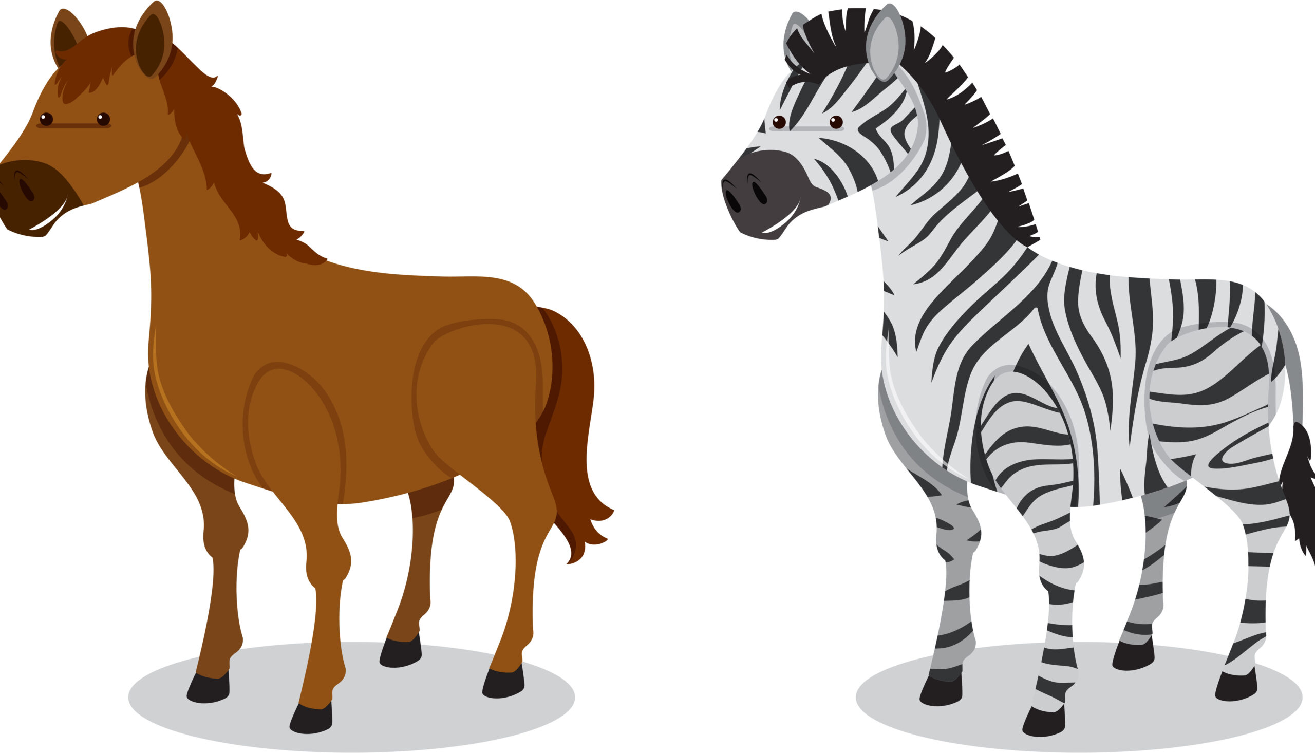 Diferencias entre un caballo y una cebra: ¿Cuáles son y cómo identificarlas?