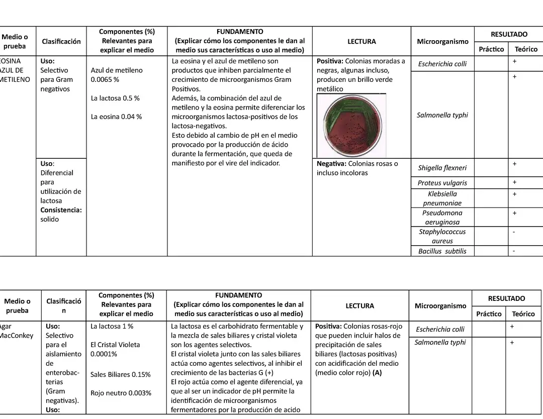 El agar salino de manitol y Bacillus subtilis: una combinación eficaz para el cultivo bacteriano.