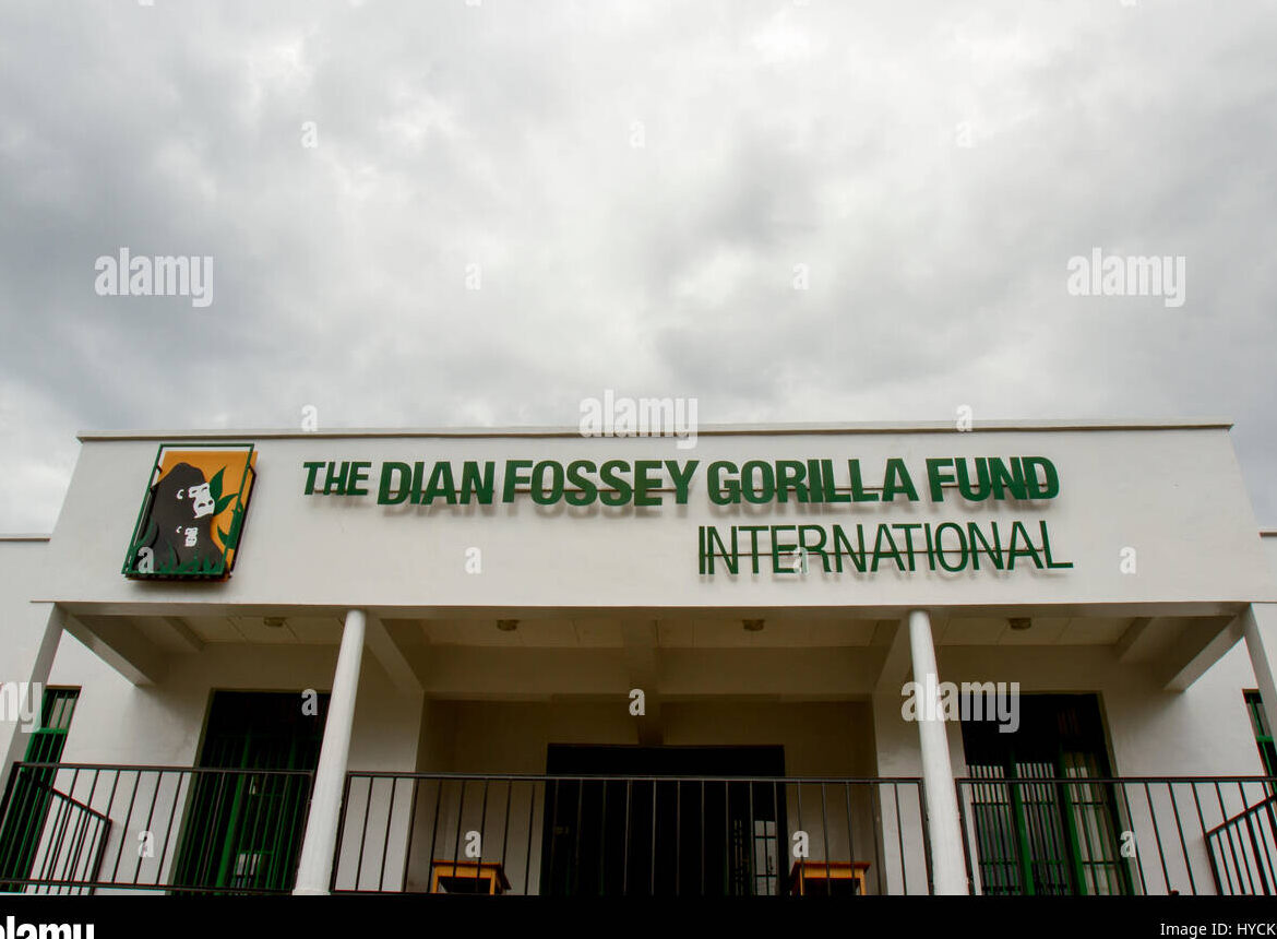 El lugar de entierro de Dian Fossey.