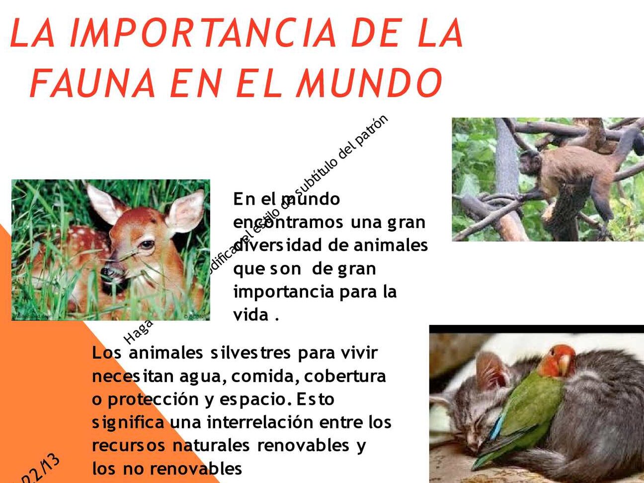 La flora y fauna: vida vegetal y animal.