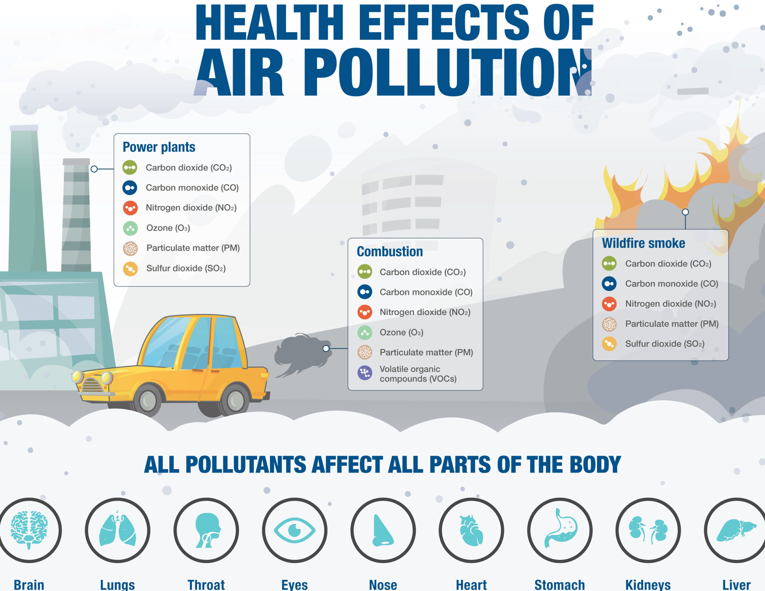 Los peligros de la contaminación: Fuentes comunes que debes conocer.