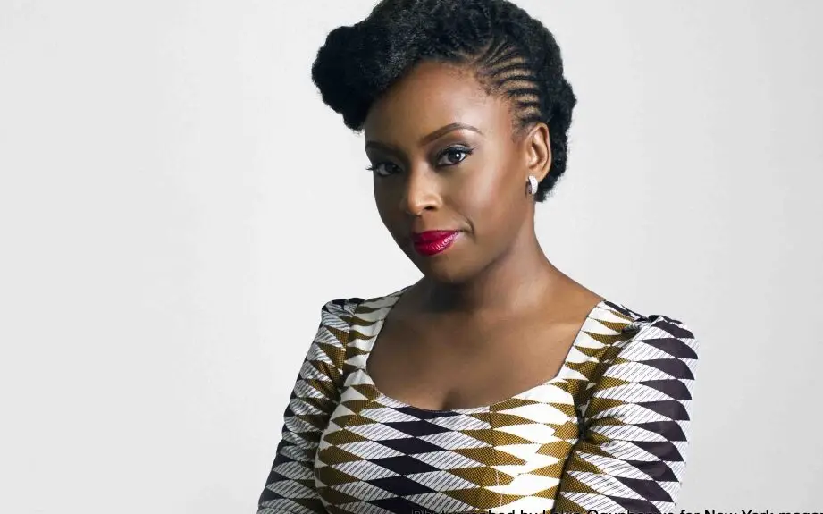 Resumen de Medio sol amarillo de Chimamanda Ngozi Adichie: Todo lo que necesitas saber.
