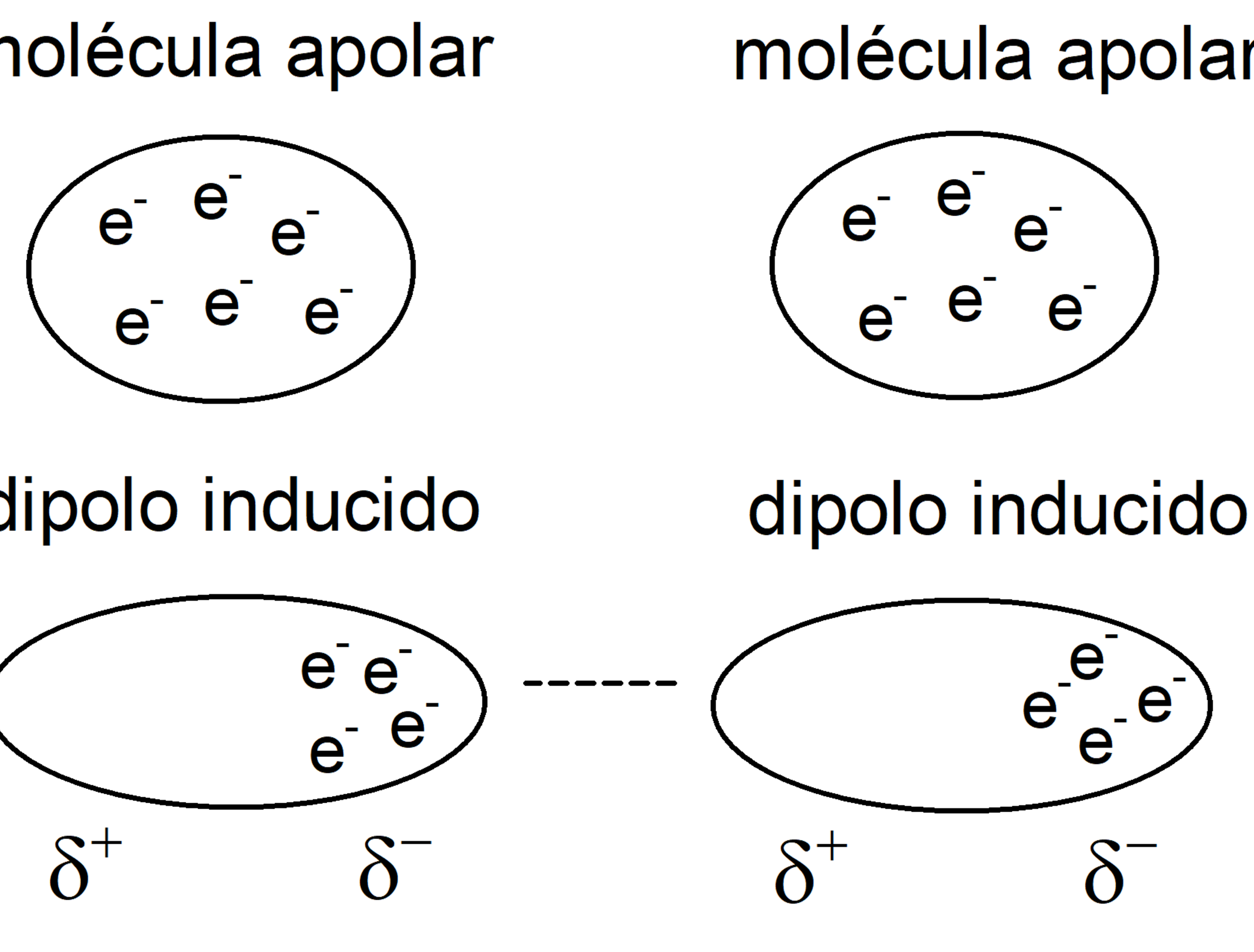 Tipos de fuerzas intermoleculares presentes en el H2CO