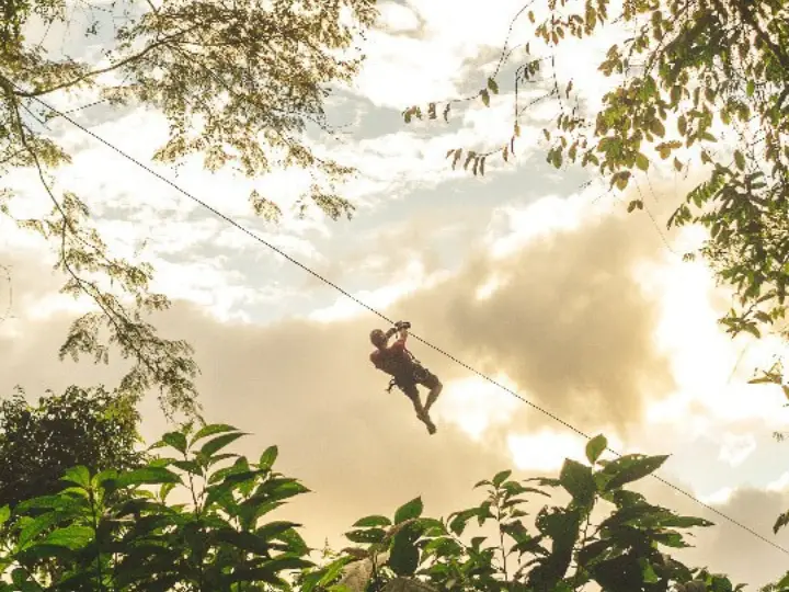Vida en la selva de Costa Rica: Tours por la selva tropical.